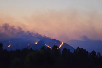 DSC_5607 (Large).JPG